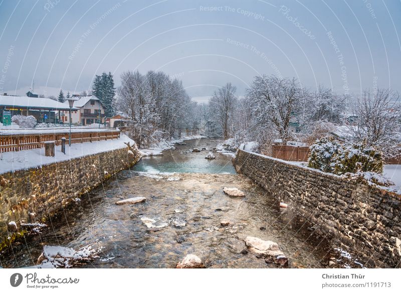 winter river Relaxation Vacation & Travel Tourism Trip Sightseeing Winter Snow Winter vacation Sports Outskirts Deserted House (Residential Structure)