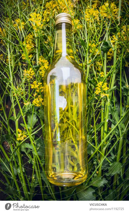A good rapeseed oil Food Cooking oil Nutrition Bottle Style Design Healthy Eating Life Nature Oilseed rape oil Oilseed rape flower Plant Fat native Fresh Yellow