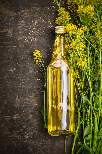 Fresh rapeseed oil on a wooden table Food Cooking oil Nutrition Bottle Glass Style Design Healthy Eating Life Nature Plant Flower Agricultural crop Yellow