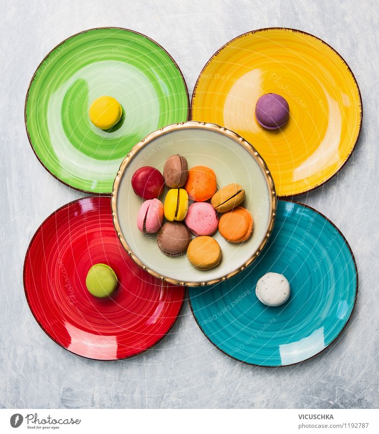 Colorful macarons in colorful plates Food Dessert Candy Nutrition Banquet Plate Style Design Yellow Pink Gourmet Snack Top Cookie French Kitchen Multicoloured