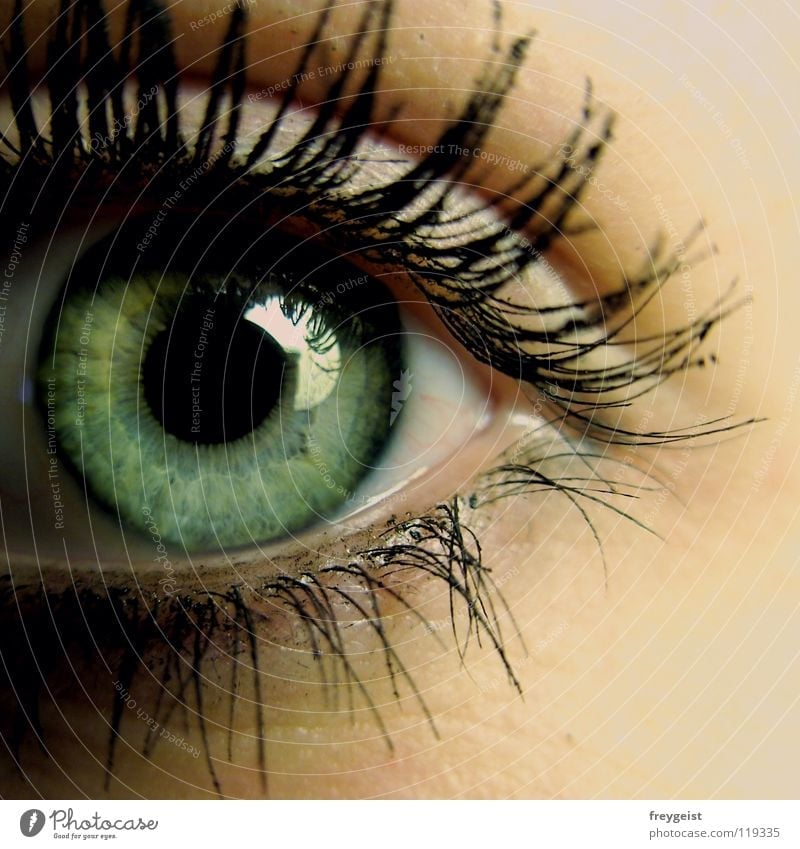 standing Beautiful Skin Eyes Near Gray Green Black Eyelash Delicate eye Iris lashes anni k. Close-up Macro (Extreme close-up)