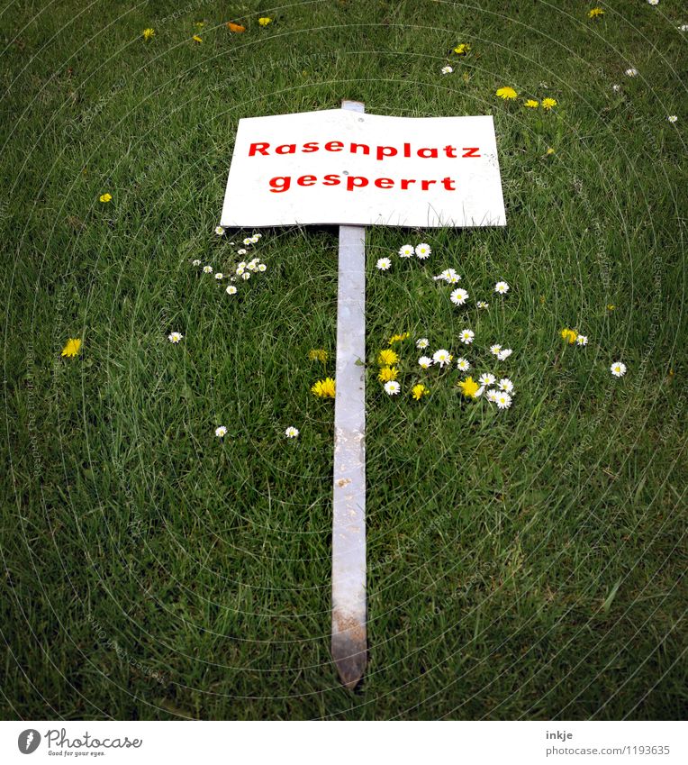 *ochnö* Leisure and hobbies Playing Summer Meadow flower Daisy Grass surface Prohibition sign Characters Signs and labeling Signage Warning sign Green Red