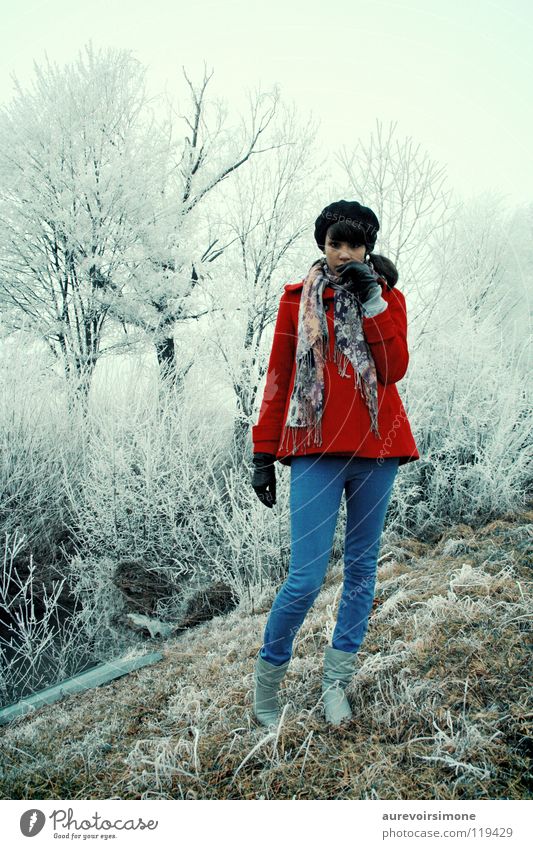 winter Winter Red Cold Vintage Blue Emotions Ice Snow