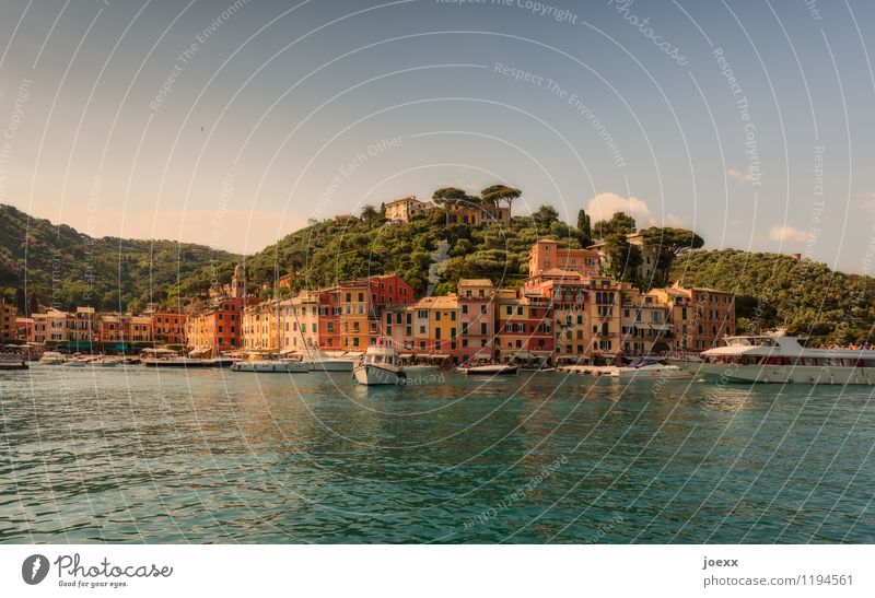 Portofino Vacation & Travel Landscape Water Sky Summer Beautiful weather Forest Mountain Italy Village House (Residential Structure) Facade Old Historic