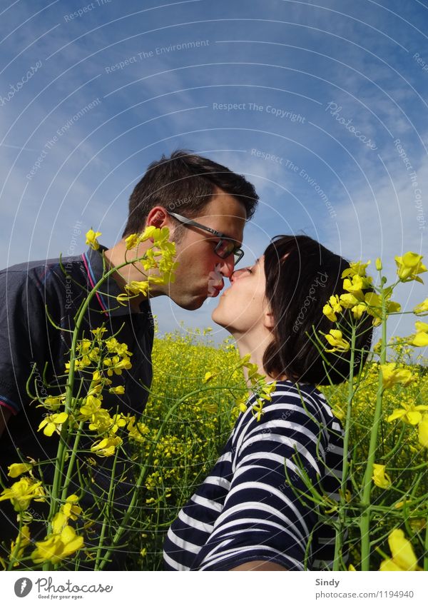 In love with the rape field Joy Happy Trip Freedom Sun Masculine Feminine Couple 2 Human being 18 - 30 years Youth (Young adults) Adults Sky Spring Summer