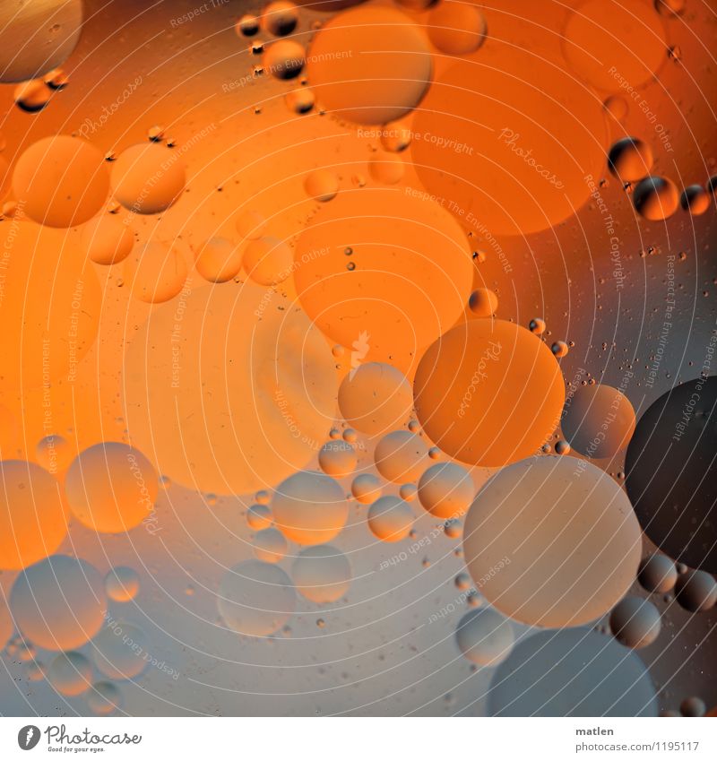 bubbly lll Water Drop Brown Gray Orange Cooking oil Distributed Bubble neighbor Sphere Colour photo Close-up Abstract Pattern Structures and shapes Deserted