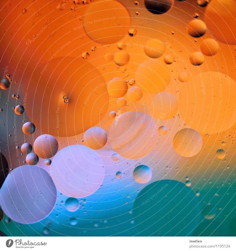 bubbly ll Cooking oil Blue Green Orange White dispersion Water Side by side bubble Abstract Multicoloured Interior shot Detail Pattern Structures and shapes