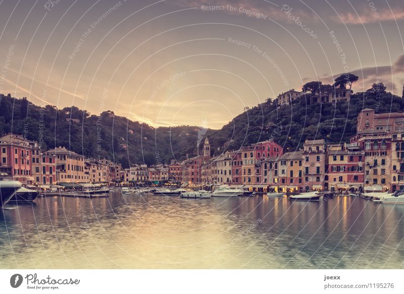 Portofino Vacation & Travel Tourism City trip Summer Ocean Old Beautiful Multicoloured Idyll Colour photo Subdued colour Exterior shot Copy Space top Twilight