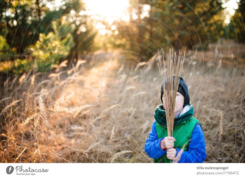 I'll be off. Trip Summer vacation Sun Masculine Child Boy (child) Infancy Life 1 Human being 3 - 8 years Nature Landscape Sunrise Sunset Autumn Weather Plant