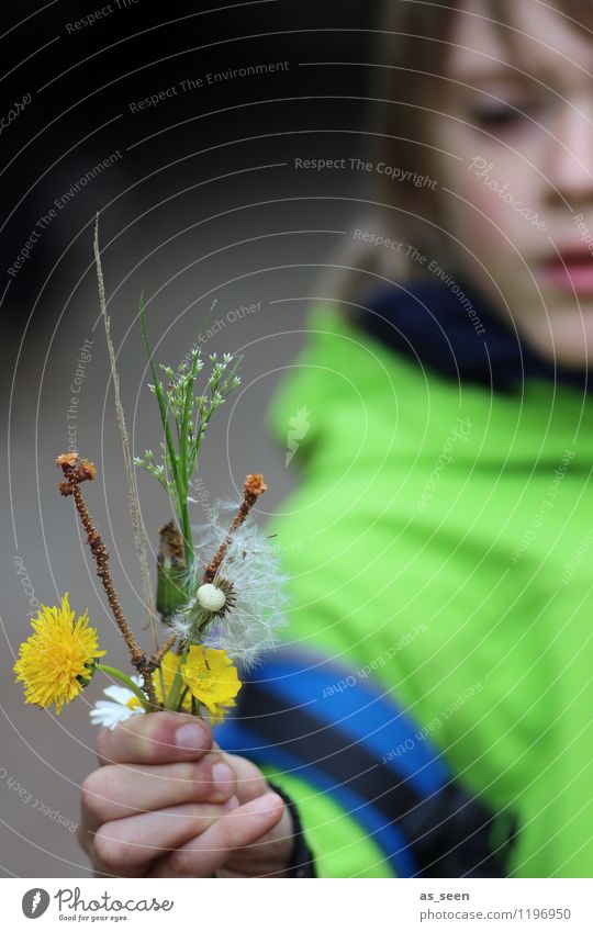 For YOU! Mother's Day Boy (child) Life Face Hand Fingers 8 - 13 years Child Infancy Environment Nature Spring Summer Plant Flower Dandelion Grass blossom