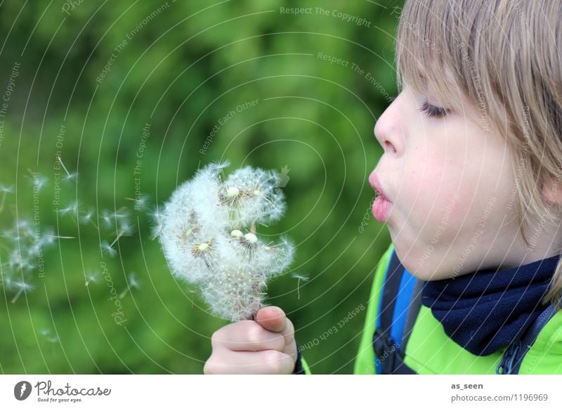 The boy with the dandelion Boy (child) Infancy Life 1 Human being 8 - 13 years Child Environment Nature Plant Spring Summer Flower Blossom Dandelion Meadow