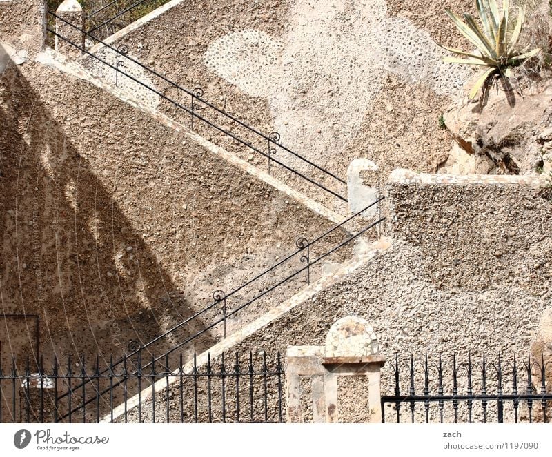 promotion opportunity City trip Plant Foliage plant Palm tree Barcelona Spain Town Old town Castle Ruin Wall (barrier) Wall (building) Stairs Facade