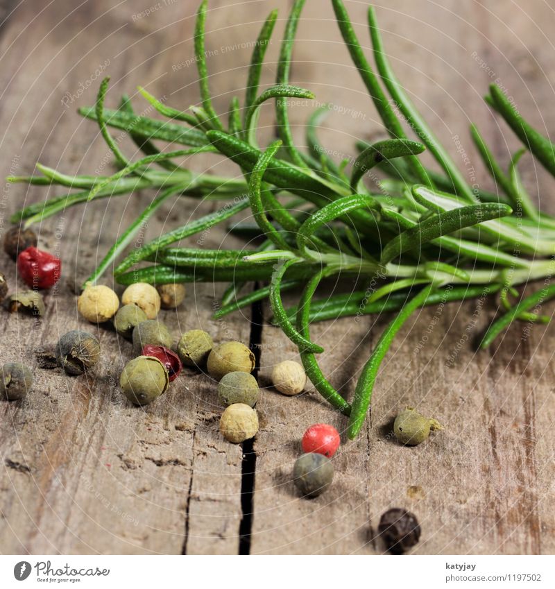 rosemary Rosemary Peppercorn Herbs and spices Healthy Eating Dish Food photograph Nutrition Aromatic Sense of taste Ingredients Red Black Fresh Culinary Near