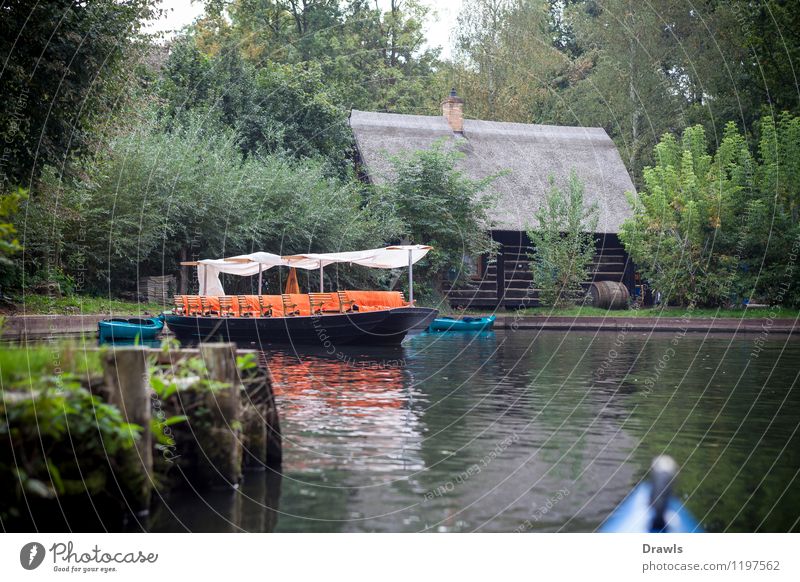 Spreewald barge Environment Nature Landscape Water loam Lubbenau Village Deserted Boating trip Sport boats Rowboat Harbour Driving Sports Hiking Blue Brown