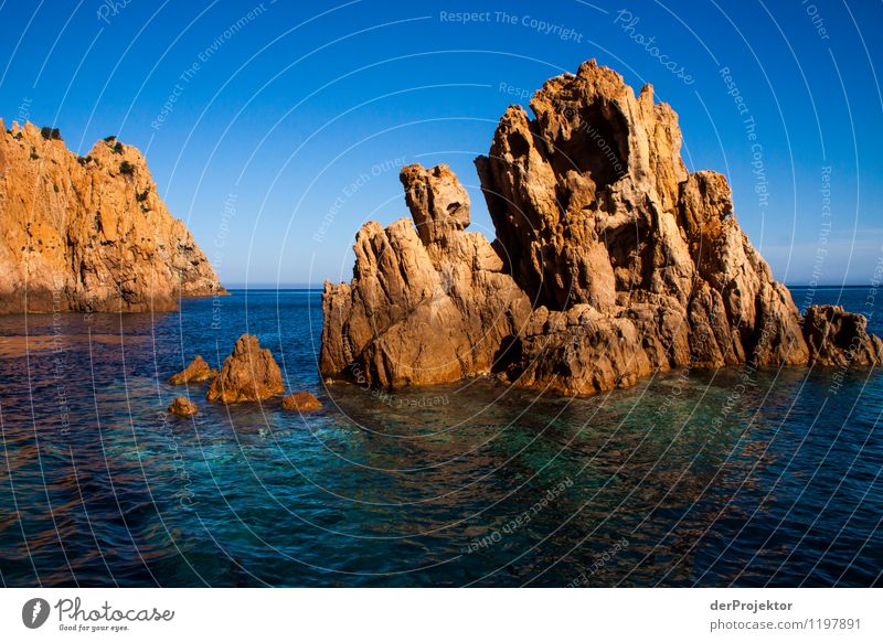 Rocky coast of Corsica Vacation & Travel Tourism Trip Adventure Far-off places Cruise Summer vacation Environment Nature Landscape Plant Animal Elements Water