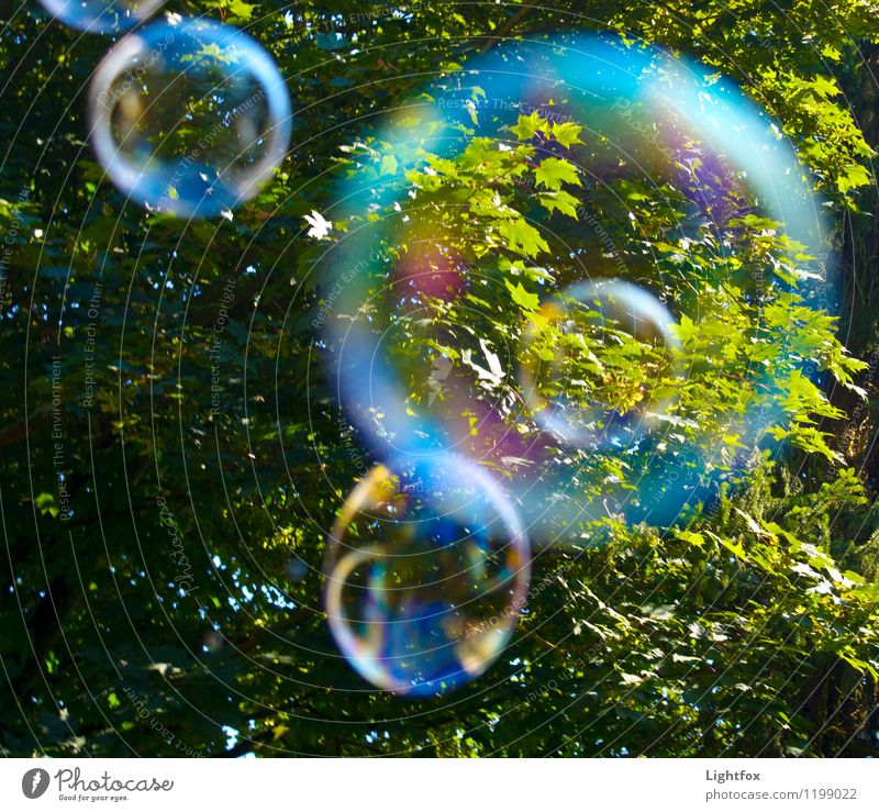Mr Bubblelina Mr Bob Da belina Magnifying glass Binoculars Angel Observe Touch Movement Catch Blue Green Emotions Moody Joy Happiness Life Soap bubble Tree