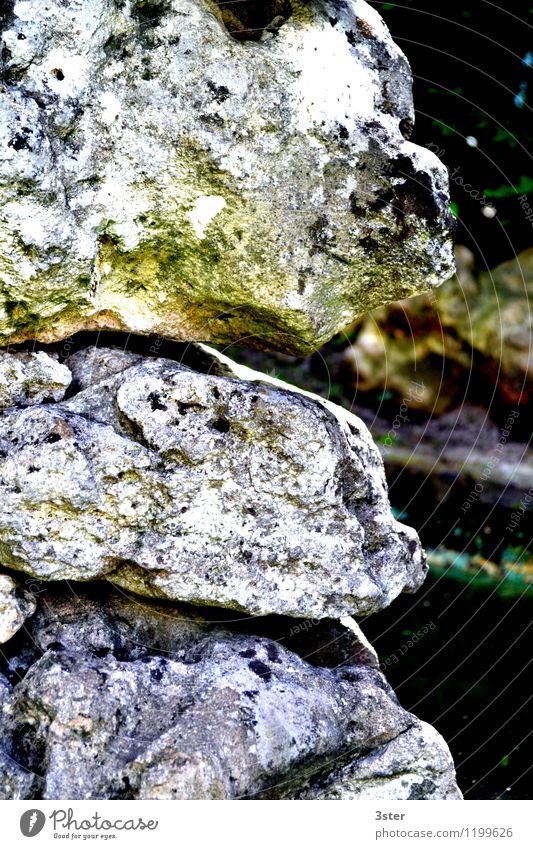 Petrified faces Art Sculpture Nature Rock Stone Figure Pattern Colour photo Exterior shot Detail Structures and shapes Deserted Copy Space right Day Evening