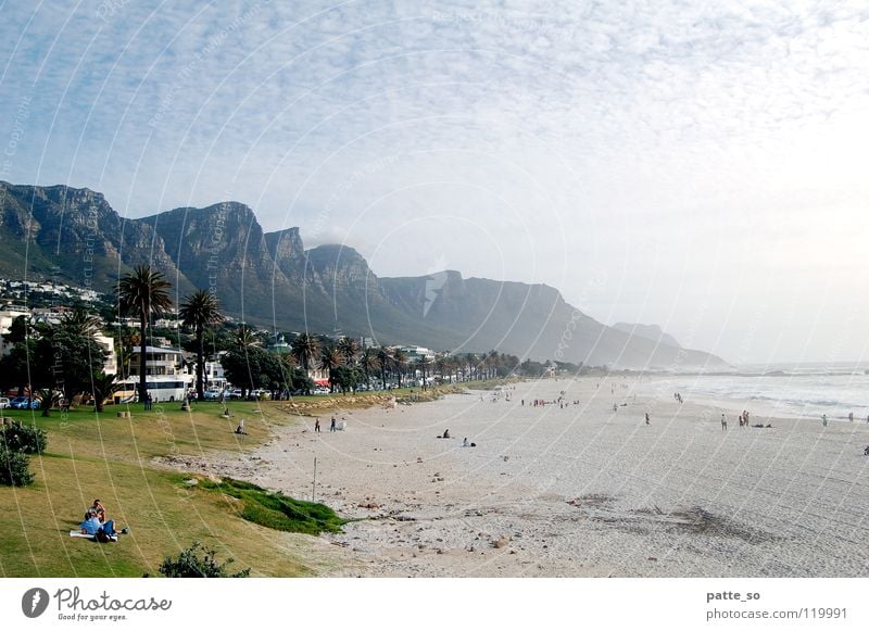 Beach and mountains Cape Town Physics Green Palm tree Africa Warmth Mountain Water Sand