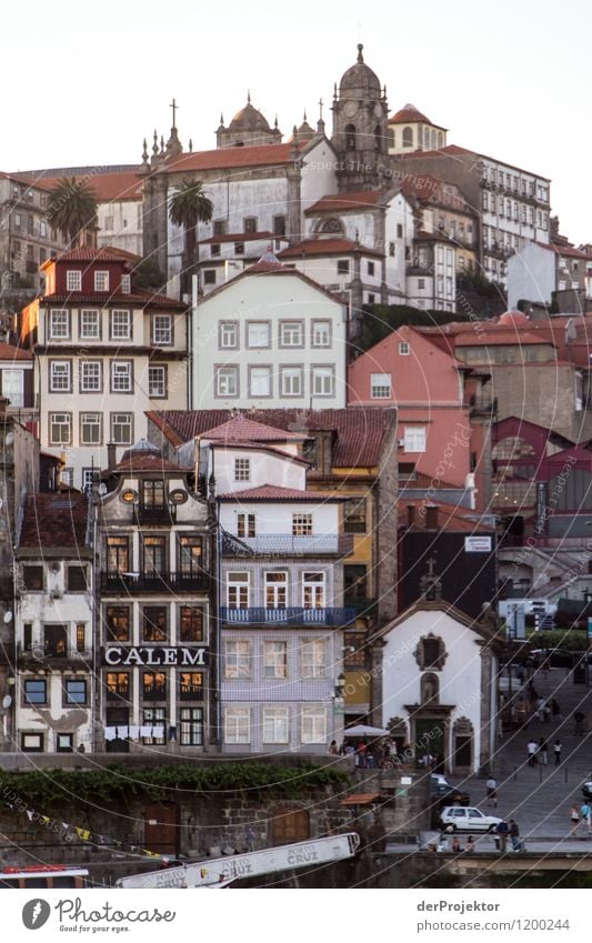Stacked houses in Porto Vacation & Travel Tourism Trip Adventure Far-off places Freedom Sightseeing City trip Cruise Summer vacation Environment River bank