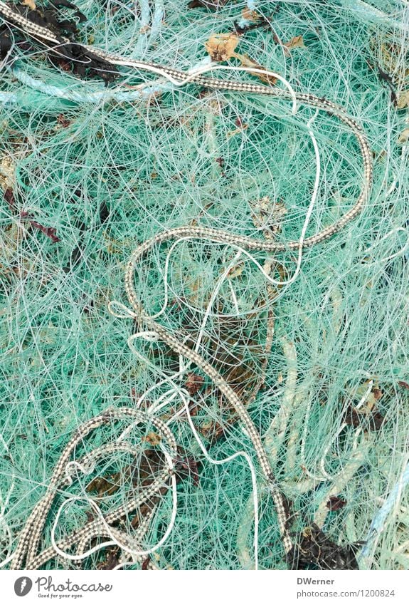Networking 2 Rope Fish String Knot Work and employment Catch Exceptional Thin Green Sustainability Nature Fishing (Angle) Fishery Fishing boat Fisherman