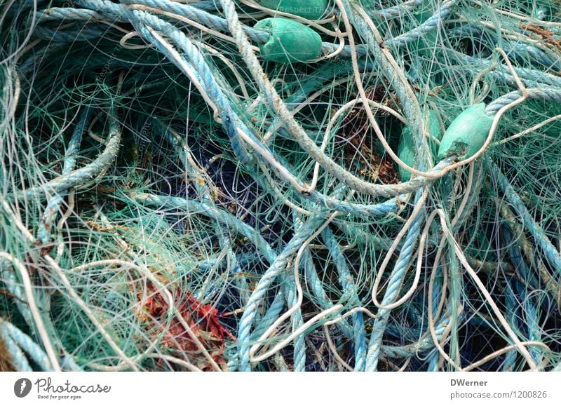 Network 4 Fishing boat String Knot Catch Dirty Dark Disgust Maritime Green Sustainability Nature Fishing (Angle) Fisherman Fishing net Broken Old Colour photo
