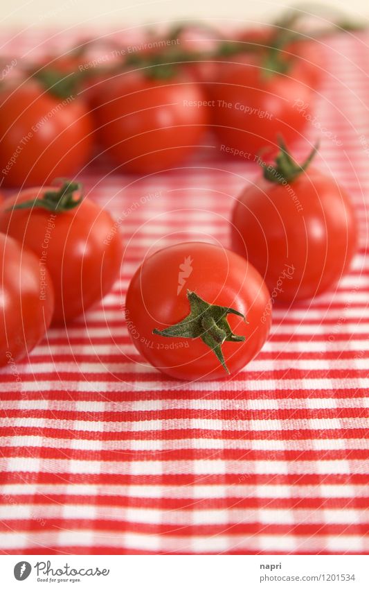 very cherry vine tomatoes Vegetable Tomato Bush tomato Organic produce Vegetarian diet Italian Food Tablecloth To enjoy Red Multiple Checkered salubriously