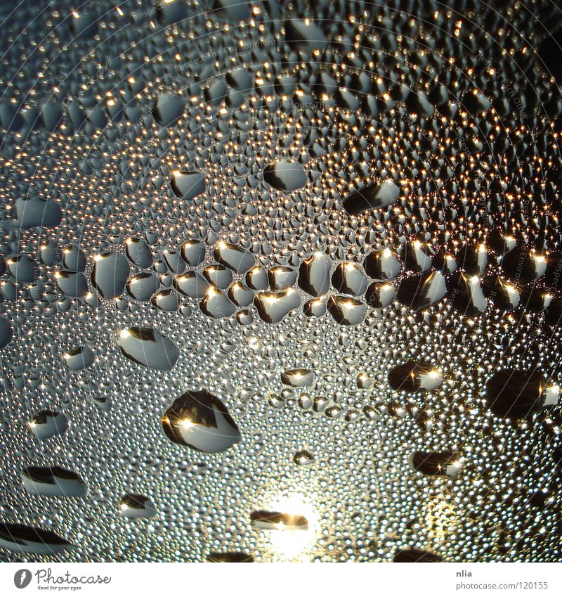 dew drops Window Wet Cold Dew Water Drops of water Rain Blue Sun
