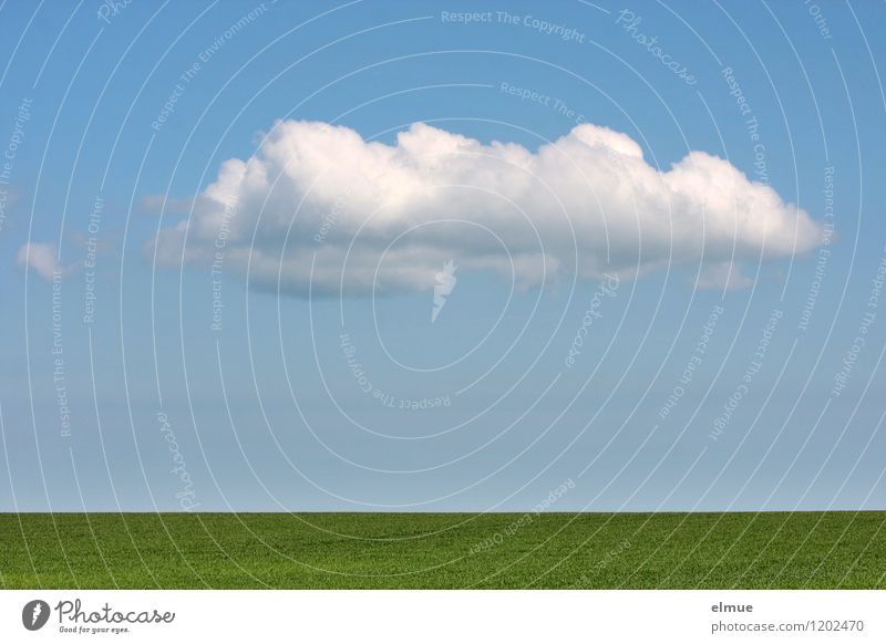 Decorative cloud over green field Environment Nature Landscape Plant Earth Sky Clouds Spring Beautiful weather Agricultural crop Grain field Field Infinity Blue