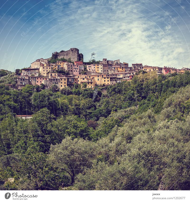 High Houses Vacation & Travel Tourism Mountain Landscape Beautiful weather Forest Trebiano Liguria Italy Village House (Residential Structure) Ruin Old Historic