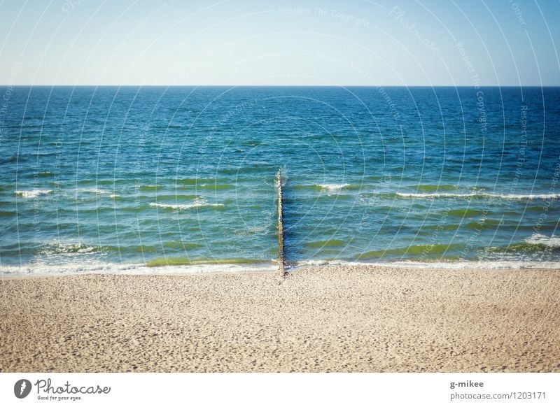On the beach Nature Landscape Sand Water Sky Horizon Summer Coast Beach Baltic Sea Free Large Blue Yellow Colour photo Exterior shot Deserted Copy Space top Day