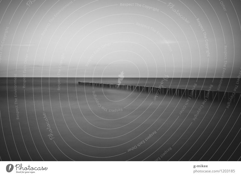 ocean Nature Landscape Water Coast North Sea Baltic Sea Ocean Infinity Creepy Dream Sadness Loneliness Surrealism Black & white photo Exterior shot Deserted