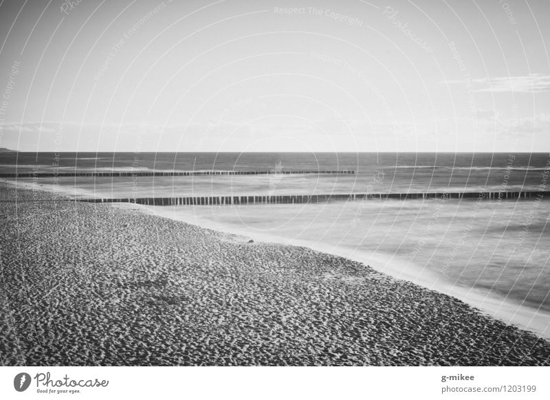 Timeless Nature Water Beach North Sea Baltic Sea Ocean Far-off places Free Infinity Serene Calm Empty Freedom Sandy beach Black & white photo Exterior shot