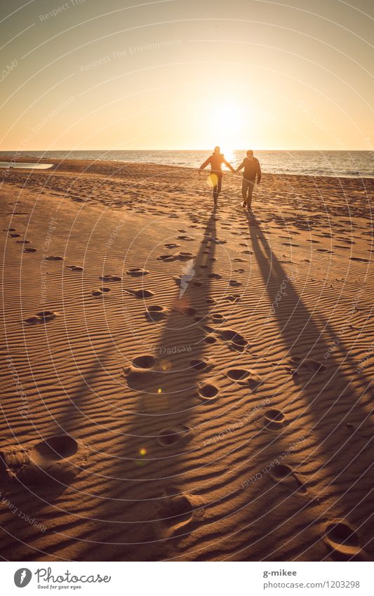 Couple at sunset Nature Sand Water Sunrise Sunset Sunlight Beach Baltic Sea Ocean To enjoy Laughter Walking Romp Joy Happy Happiness Joie de vivre (Vitality)