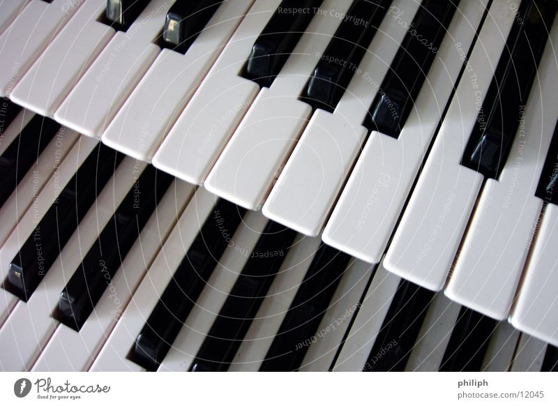 Double Organ 2 Piano Keyboard Concert Things Art Arts and crafts  double keys Black & white photo Double exposure