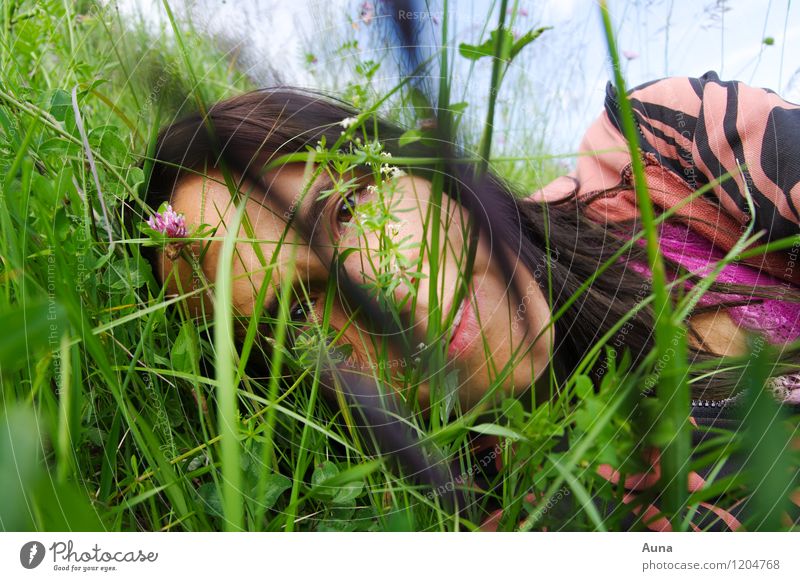 I in the grass Healthy Feminine Woman Adults Head Face 1 Human being 18 - 30 years Youth (Young adults) Nature Spring Summer Grass Meadow Flower meadow