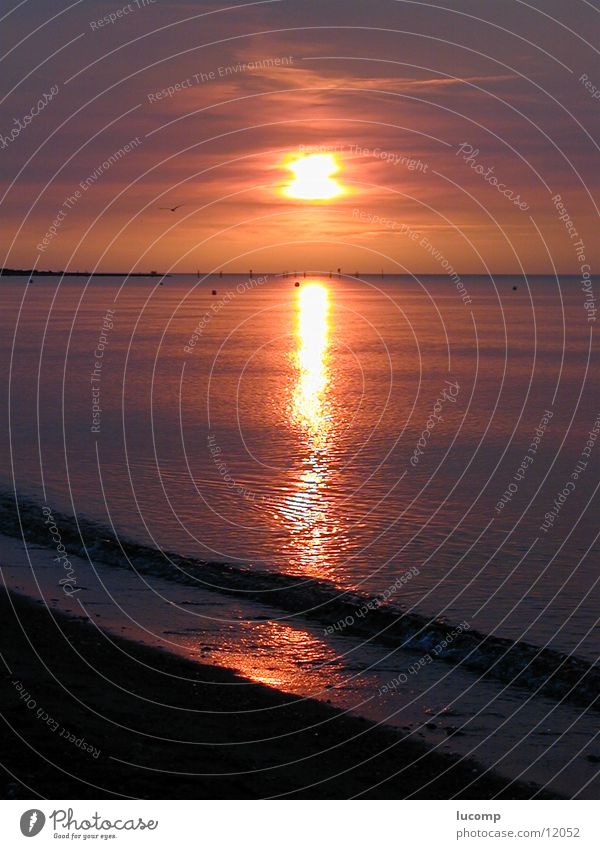 Evening Sun/Baltic Sea/Fehmarn Sunset Red Ocean Dusk Waves Swell Light Beach Romance Horizon Water Flare