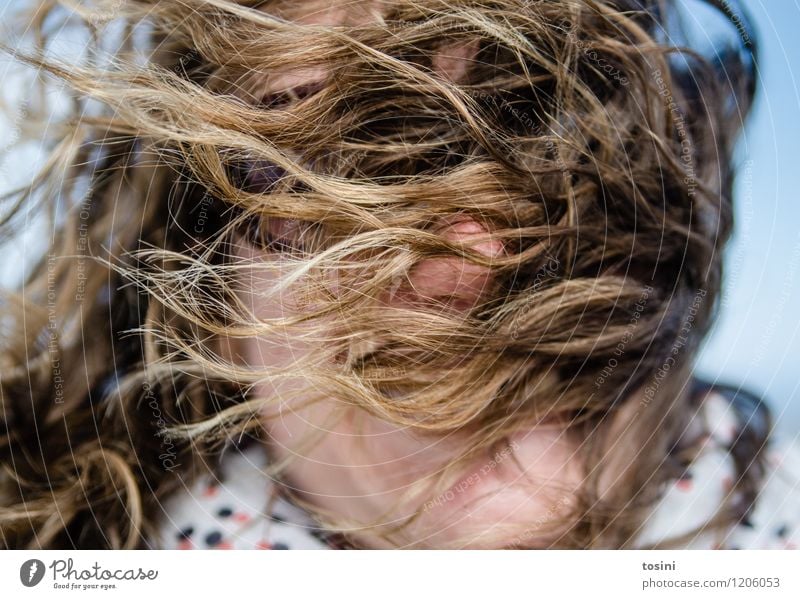 Woman in the wind with the hair on her face Human being Feminine Young woman Adults Head Hair and hairstyles Face 1 Climate Weather Bad weather Wind Gale Nature