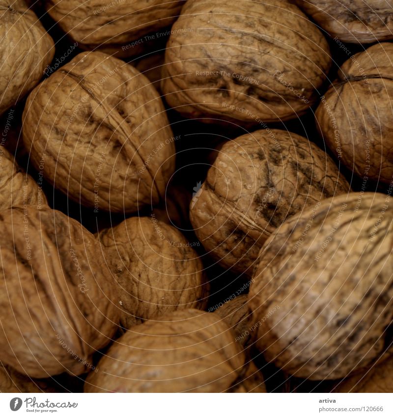 walnuts Wood flour Background picture yield brown kernel seed dry