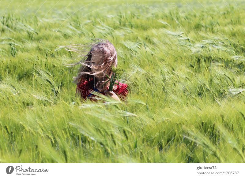 nature child Child Girl Infancy Life Hair and hairstyles 1 Human being 8 - 13 years Environment Nature Landscape Spring Beautiful weather Wind Plant