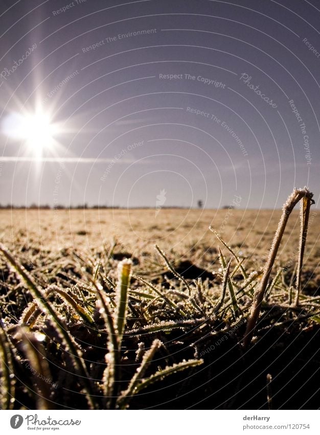 Sun is Shining, the Weather .... Field Blade of grass Horizon Ice Crystal structure Blue Orange Lens flare Sky