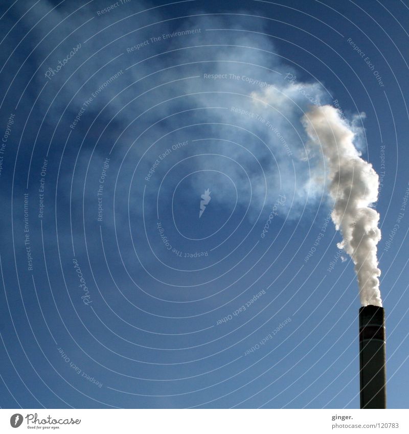 White grey in blue Industry Sky Chimney Smoke Tall Blue Gray Blow Emission Environmental pollution Blue sky Copy Space left Copy Space top Copy Space middle