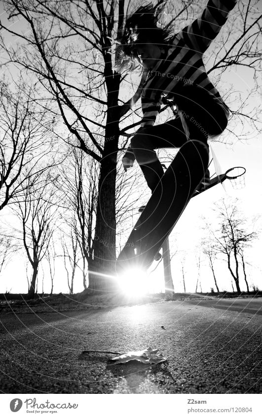 go skating Dusk Action Skateboarding Contentment Kickflip Salto Jump Striped Tar Concrete Light Tree Wide angle Youth (Young adults) Sports Leaf Funsport