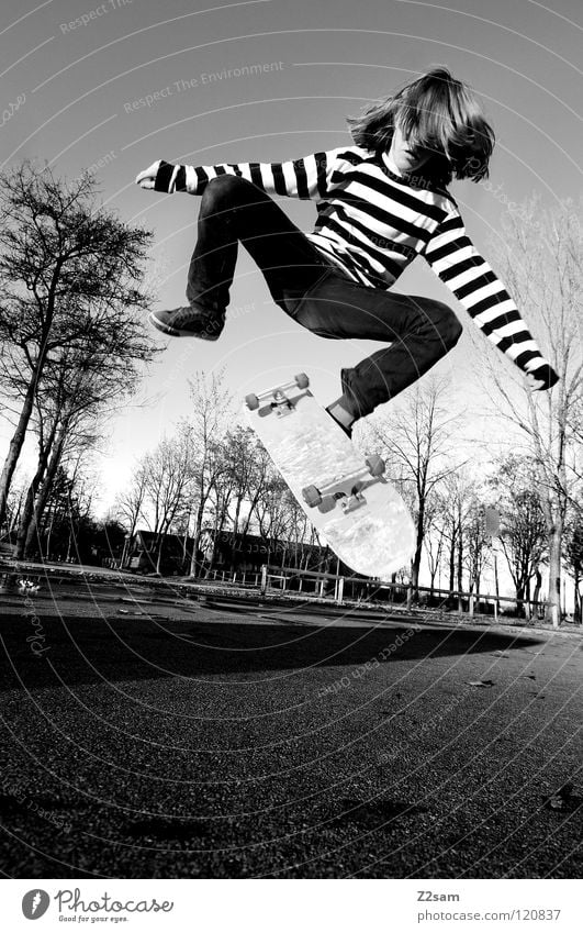 360 flip Dusk Action Skateboarding Contentment Kickflip Salto Jump Striped Tar Concrete Tree Wide angle Youth (Young adults) Sports Funsport Man Movement
