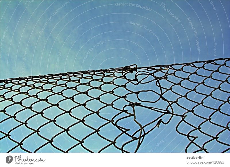 scam Wire netting fence Fence Border Knit Craft (trade) Structures and shapes Matrix Blue sky Sky blue Detail Feeble Dizzy spell Net Computer network Network
