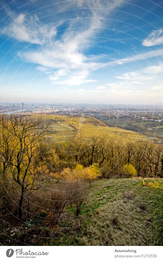 View of Vienna 2 Environment Nature Landscape Plant Air Sky Clouds Horizon Spring Weather Beautiful weather Tree Grass Bushes Meadow Forest Hill Austria Town