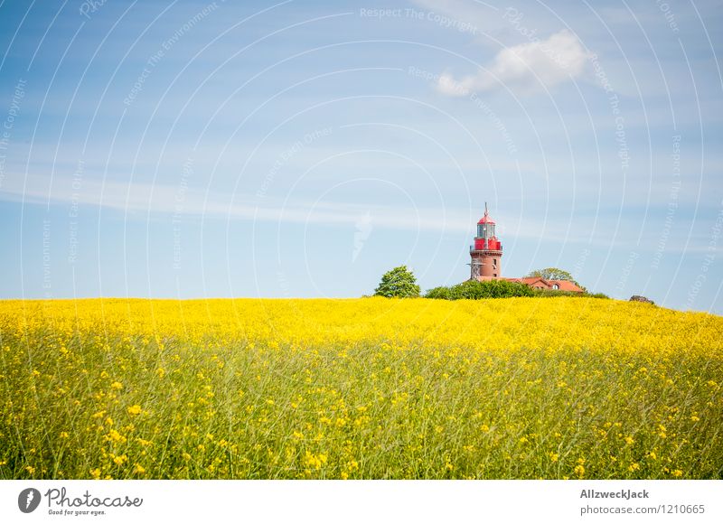 Text space left - Ostsee Edition Plant Field Village Lighthouse Old Historic Kitsch Crazy Colour photo Exterior shot Deserted Day Central perspective
