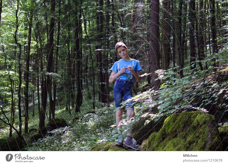 I glaub´ I'm standing in the woods Trip Adventure Freedom Hiking Masculine Child Boy (child) Infancy 8 - 13 years Nature Summer Beautiful weather Tree Forest