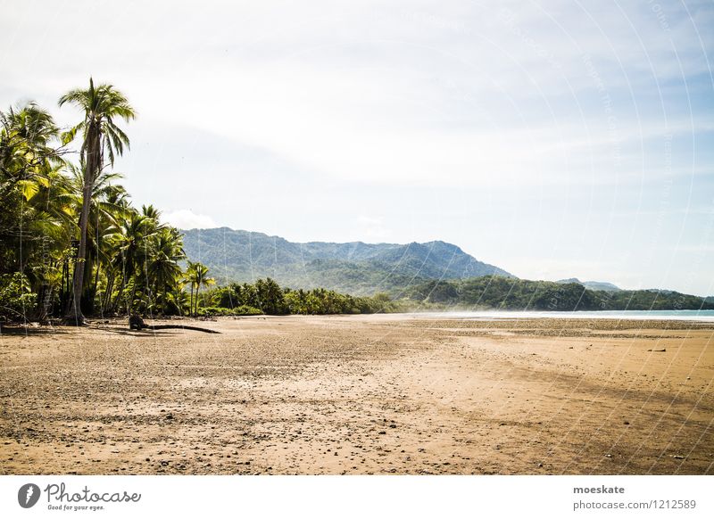 Marino Ballena Costa Rica National Park Nature Landscape Sand Water Sky Summer Beautiful weather Warmth Beach Blue Green Pacific Ocean Forest Colour photo