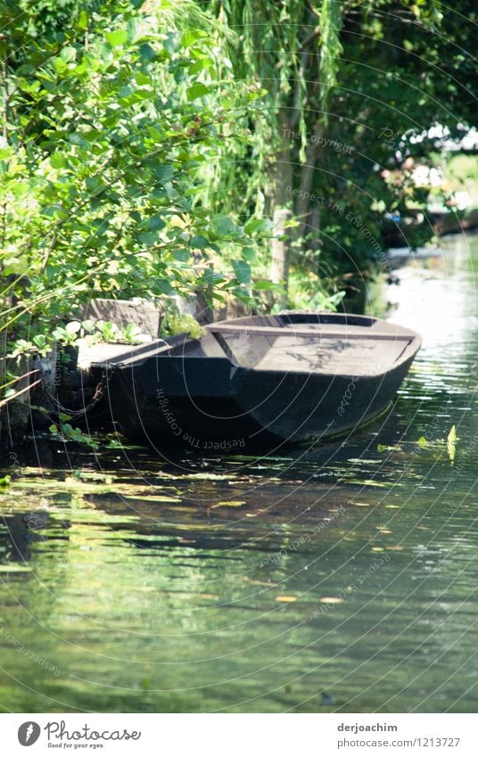 Spreewald gherkin boat. An old oar wooden boat is moored on the river bank. Trees and bushes in the background. Spreewald idyll.Brandenburg. Joy Harmonious Trip