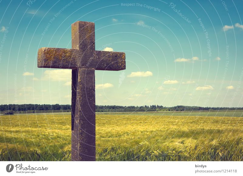 The one with the cross Nature Sky Clouds Horizon Sunlight Spring Summer Beautiful weather Agricultural crop Grain field Field Forest Christian cross Sign
